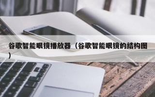 谷歌智能眼镜播放器（谷歌智能眼镜的结构图）