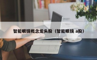 智能眼镜概念龙头股（智能眼镜 a股）